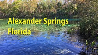 Alexander Springs - Florida