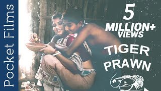 A mother and son story - Golda Chingri - Tiger Prawn