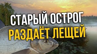 РУССКАЯ РЫБАЛКА 4. Фарм серебра на Старом Остроге. Крупный Лещ на Остроге.