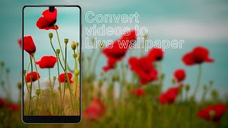 How to make video wallpaper like miui 10 in all device