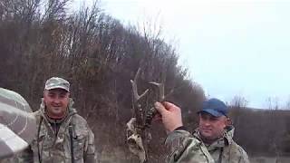 ОХОТА НА ПУШНОГО ЗВЕРЯ.   ОТКРЫТИЕ.  2018- 2019 г