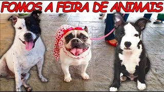 FOMOS NUMA FEIRA DE ANIMAIS