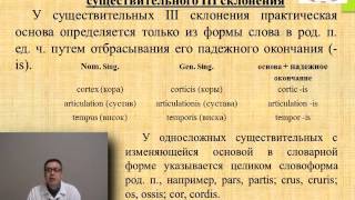 Лекция: «Имя существительное. Латинские несогласованные определения в медицинской терминологии».