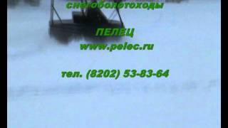 pelec snow 2010
