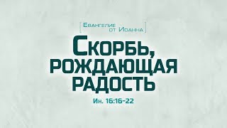 Ев. от Иоанна: 89. Скорбь, рождающая радость (Алексей Коломийцев)
