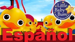 Cinco Patitos en un autobus | Canciones infantiles | LittleBabyBum