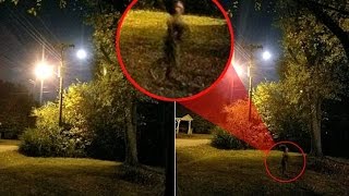 12 Мифических существ гономов и гоблинов реально снятых на камеру