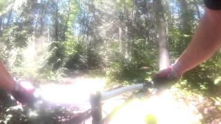 Swatara State Park