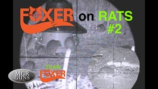 Rat Shooting #2 With The Nitesite and Ruger 10/22 .22LR