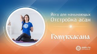 Йога для начинающих: отстройка асан (гомукхасана)