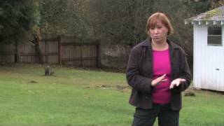 How to Grow Grass : How to Start a New Lawn