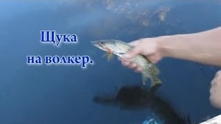 Ловля щуки летом в зарослях***Рыбалка на щуку/ fishing for pike /