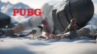 PUBG / Залетайте, покатаем вместе! / Топ 1 - Battle Royale TPP ? PlayerUnknown’s Battlegrounds