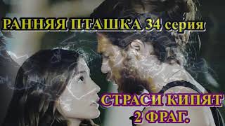 Ранняя пташка 34 серия,   СТРАСТИ КИПЯТ 2 фраг.