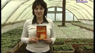 Удачи на даче. Бурьян. 16.03.14