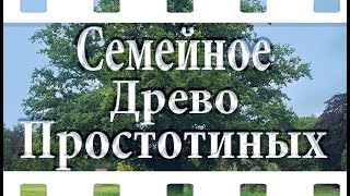 Семейное Древо Простотиных. Слайд шоу из фотографий и музыки