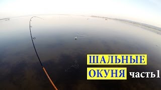 Окунь на Ультралайт. Фантастический клёв.