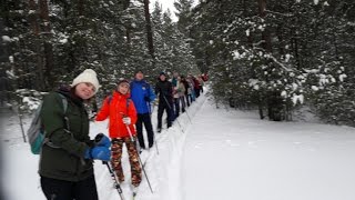 Лыжи беговые - Трекинг XCski От Ивана Крюково Ёло4ка! 2017 21\01\2017 [FreedomSlip]