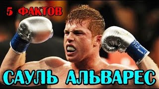 5 фактов - САУЛЬ АЛЬВАРЕС