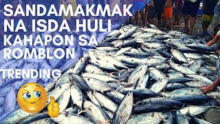 AMAZING TONELADANG ISDANG TULINGAN NAHULI SA SAWANG ROMBLON KAHAPON JAN 17 2020