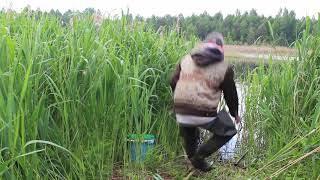 Ловля щуки на живца поплавочкой. Долгожданная поклёвка.  Pike fishing on a float.