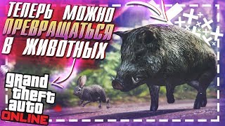 КАК ПРЕВРАТИТЬСЯ В ЖИВОТНОЕ В GTA ONLINE? ЛОФОФОРЫ ДОБАВИЛИ В GTA ONLINE! ГДЕ НАЙТИ ЛОФОФОРУ В ГТА?