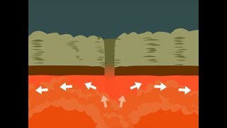 PLATE TECTONICS