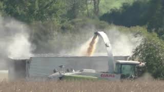 Einmalig zur Aufnahme Zeit Mais Silieren mit Claas Jaguar 980 und Silbern 8 reihigen Geringhoff Mais
