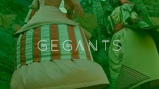 Ball gegants del pi