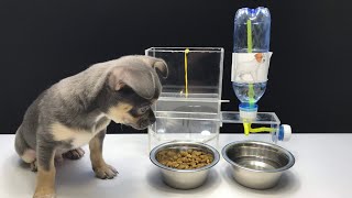 How to Make Amazing Puppy Dog Food Dispenser-Aqua Dispenser