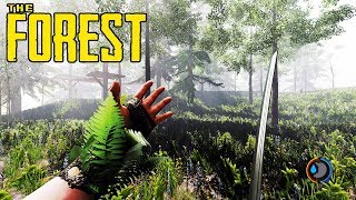 THE FOREST - ВЫЖИТЬ ЛЮБОЙ ЦЕНОЙ.