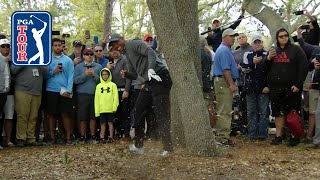 Tiger Woods' brilliant par save from the trees at Valspar
