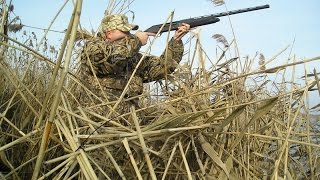Осенняя охота на уток в Волгоградской области