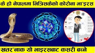 के हो नेपालमा भित्रिसकेको कोरोना भा*इरस ? कसरी बच्ने ? CORONA VIRUS IN NEPAL