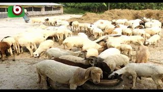 মেহেরপুরে বাড়ছে সমন্বিত ফার্ম | Meherpur Fram | Latest Bangla News