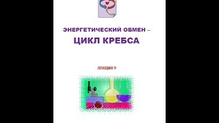 Лекция 9 Цикл Кребса (Цикл лекций Усачёва Степана по общей биохимии)