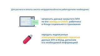 Что должен сделать работодатель для расчета и оплаты электронного листка нетрудоспособности (ЭЛН)?