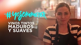 Vinos Tintos Maduros y Suaves | #YoSommelier