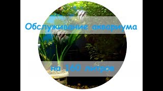 Обслуживание аквариума на 160 литров