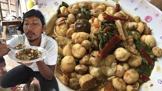 สุดยอด!! ผัดเห็ดเผาะใบกระเพรา แซ่บถึงใจเป็นที่สุด