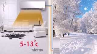 Toshiba Daiseikai 8 - Presentazione