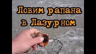 Ловля рапана на переходе к о. Джарылгач в Лазурном Херсонская область