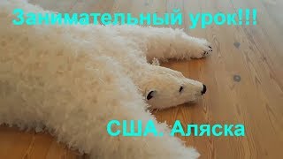 Занимательный урок!!! США.  Аляска . Анкоридж.