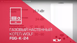 Газовый настенный котел Wolf FGG-К-24