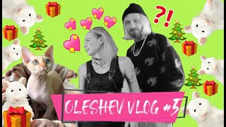 Новый год / 100 мышей из ИКЕИ / Потеряли чемодан / Водка и Анакондаз/ OLESHEV VLOG #5