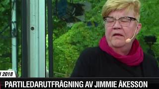 Lena Mellin har svårt att formulera någon bra fråga till Jimmie Åkesson (SD)