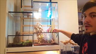 Come scegliere un terrario