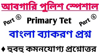 বাংলা ব্যাকরণ প্রশ্ন সেট 6 | আবগারি পুলিশ | Primary TET |