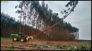 Corte muito rápido de eucalipto - Feller John Deere 643K!