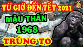 Từ Giờ Đến Tết 2021 Mậu Thân 1968 Giàu Sang Đổi Đời, Hết Khổ Bất Ngờ Tiền Tỷ Trong Tay